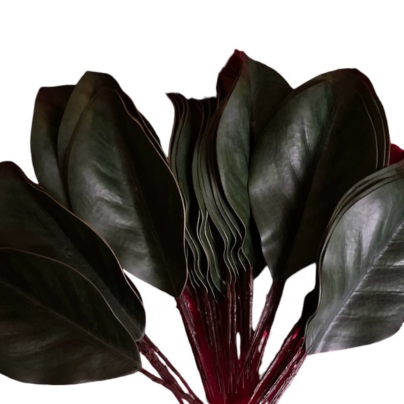 Greenery picks - Magnolia leaves beautiful absolutely gorgeous real looking - Picture 3 of 3